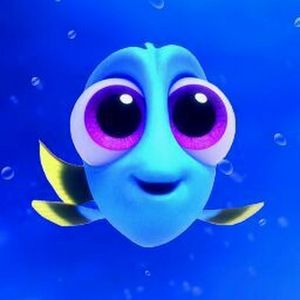 Meet your Posher, Trishu